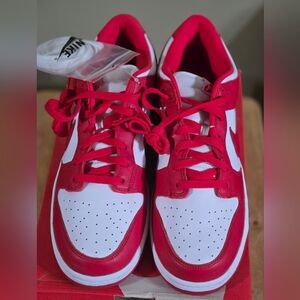 Mens Size 12.5 Dunks